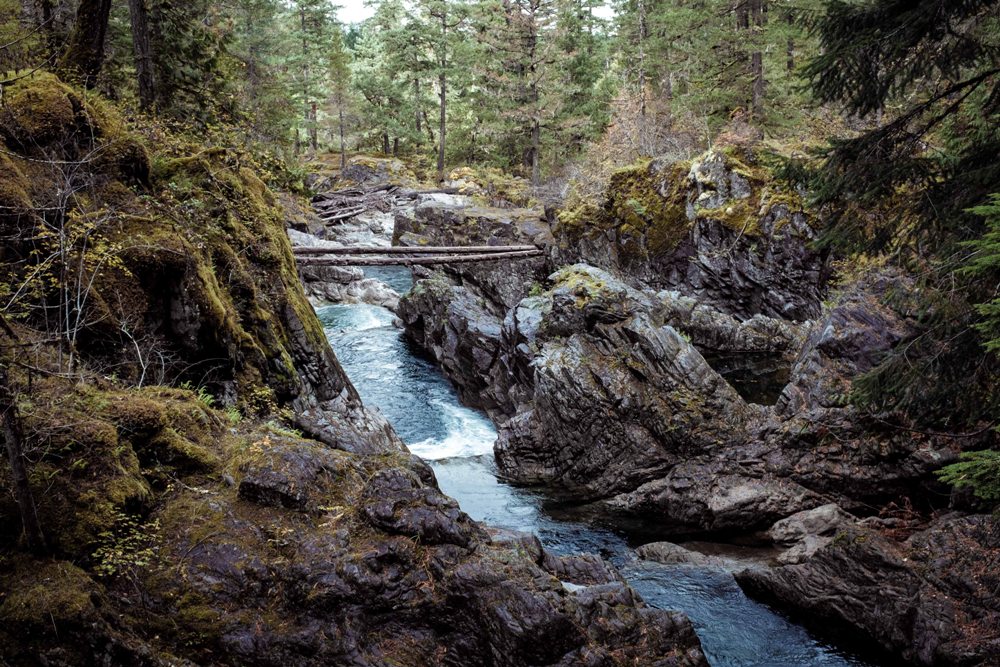 Discover the Vancouver Island You Only Thought You Knew