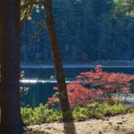 Myles Standish State Park and Forest in Plymouth, Massachusetts