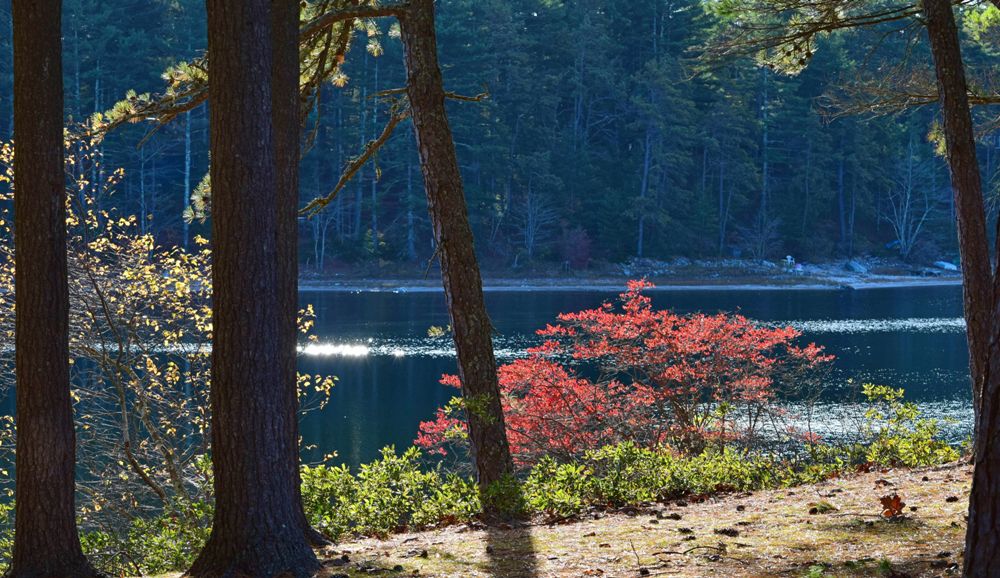 Myles Standish State Park and Forest in Plymouth, Massachusetts