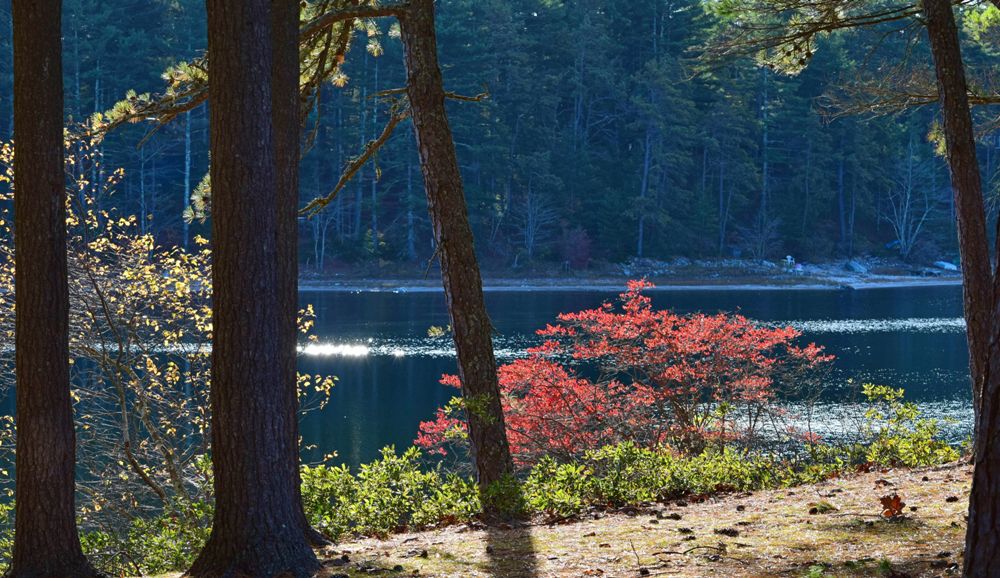 Myles Standish State Park and Forest in Plymouth, Massachusetts