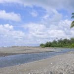 Osa Conservation Hatchery – Costa Rica