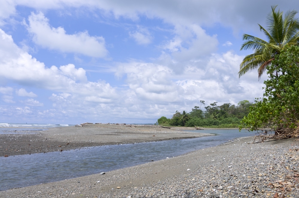 Osa Conservation Hatchery – Costa Rica