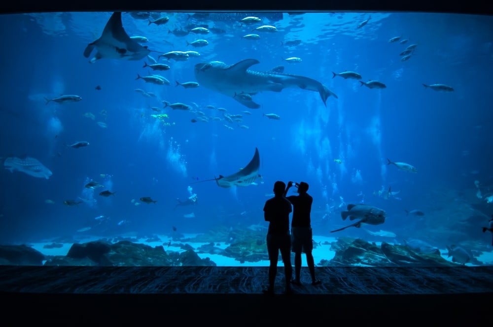 Tourico Vacations on Massachusetts - The New England Aquarium in Boston, Massachusetts