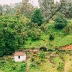 Tourico Vacations Reviews Rose Hill Plantation
